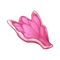 CarneMisteriosa