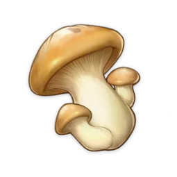Cogumelo