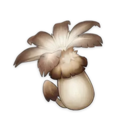 CogumeloPhilanemo
