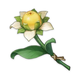 FlorDoce