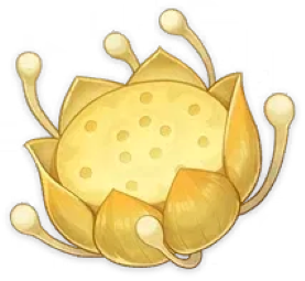 LotusNilotpala