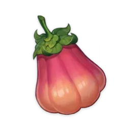 PessegoZaytun